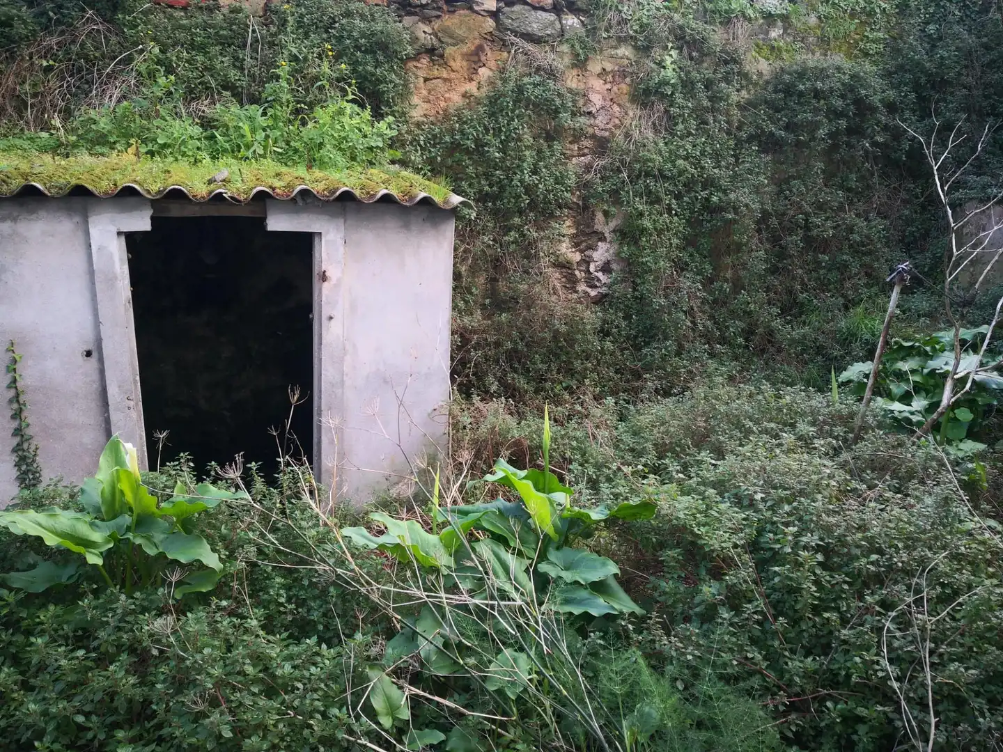 Terreni e lotti in vendita a Malpica de Bergantiños, imagen 10