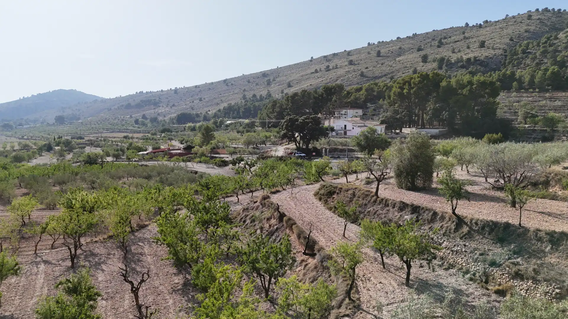 Vista exterior de Finca rústica en venda en Ibi