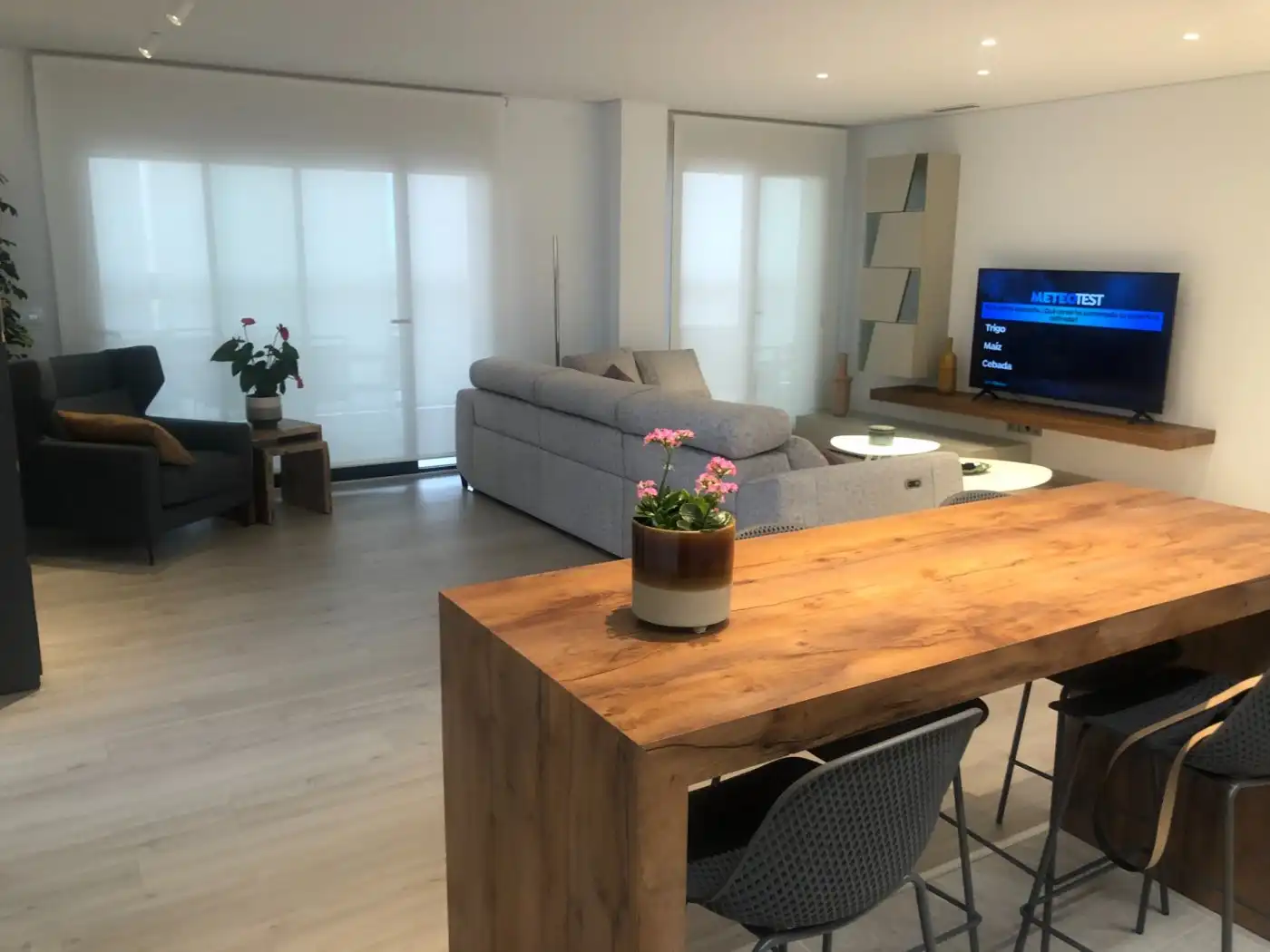 Sala d'estar de Pis de lloguer en Elche ciudad