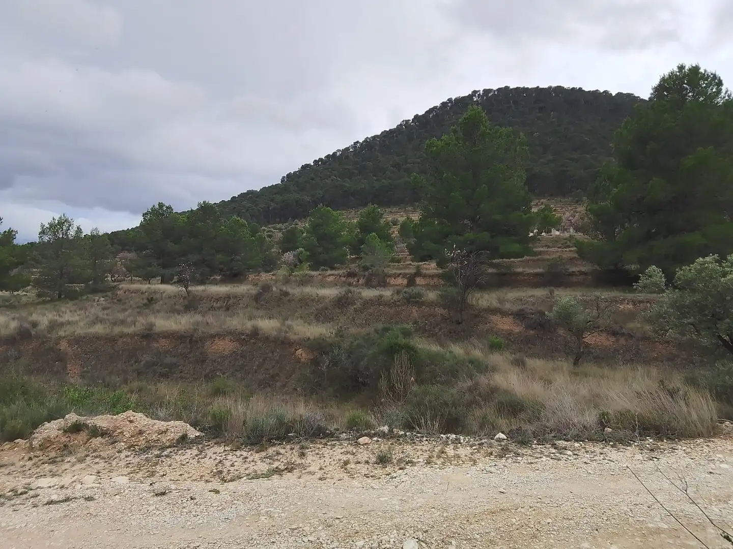 Casa o xalet en venda en Tibi amb Jardí privat, Terrassa i Moblat