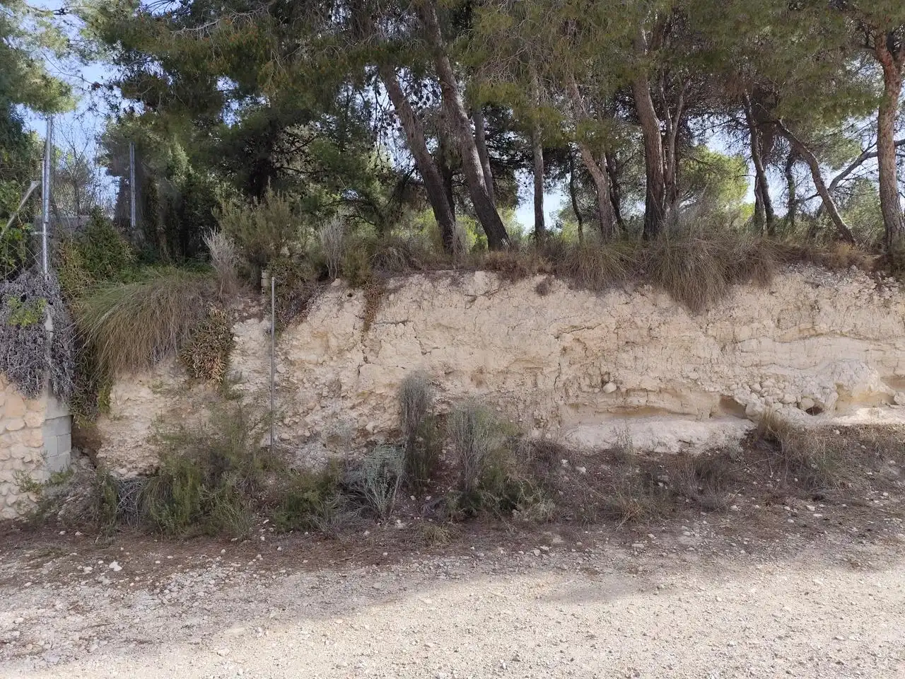 Terrenys i solars en venda a Tibi, imagen 7