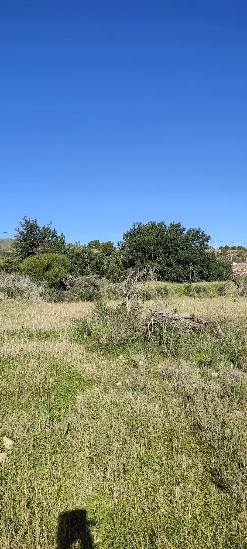 Land for sale in Cartagena