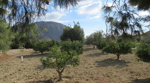 Foto 3 de Finca rústica en venta en Rebolledo, Alicante / Alacant
