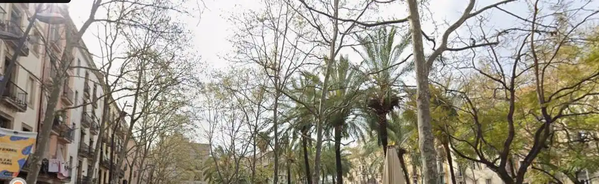 Wohnung mit Terrasse zum Verkauf in RAVAL