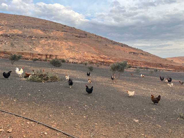 Finca rústica en Venta en Playa Blanca