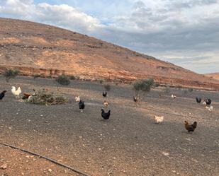 Finca rústica en venda a Playa Blanca