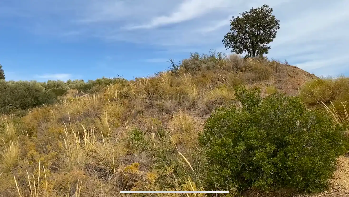 Lands and plots for sale in AR URB ANTEQUERA GOLF 122 122, imagen 17