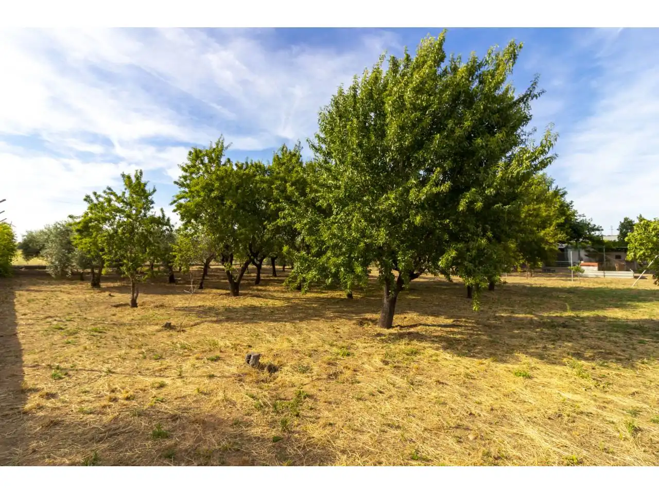 Terreno en venta en Badajoz