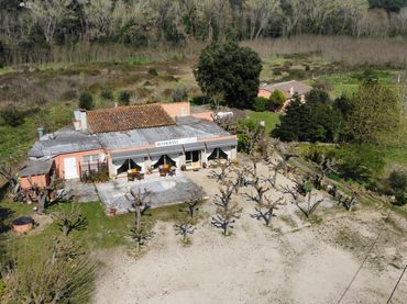 Landhaus zum Verkauf in Camino 51
