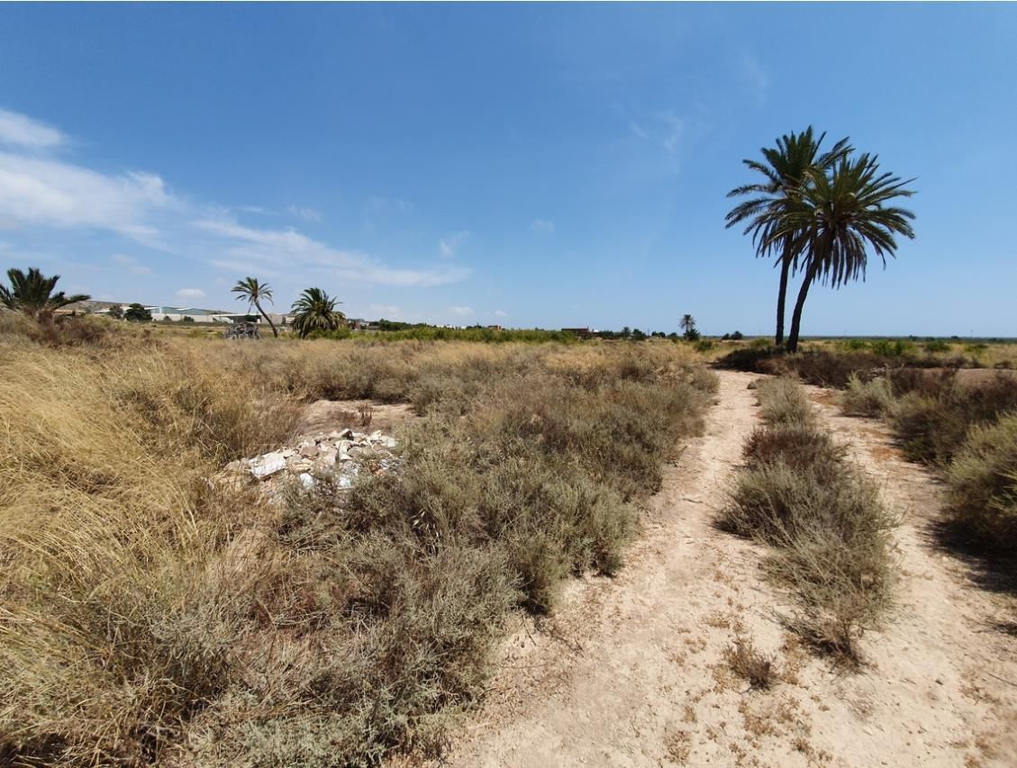 Land for sale in Elche / Elx