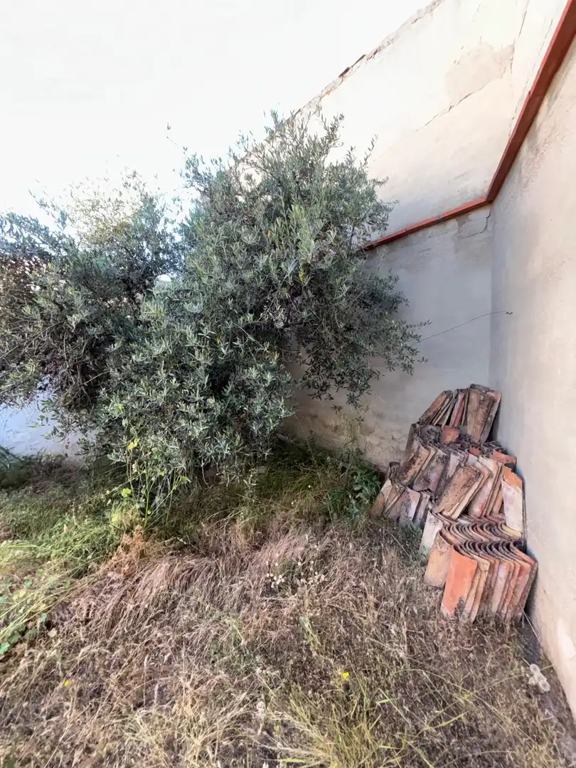 Casa o chalet en venta en Moral de Calatrava