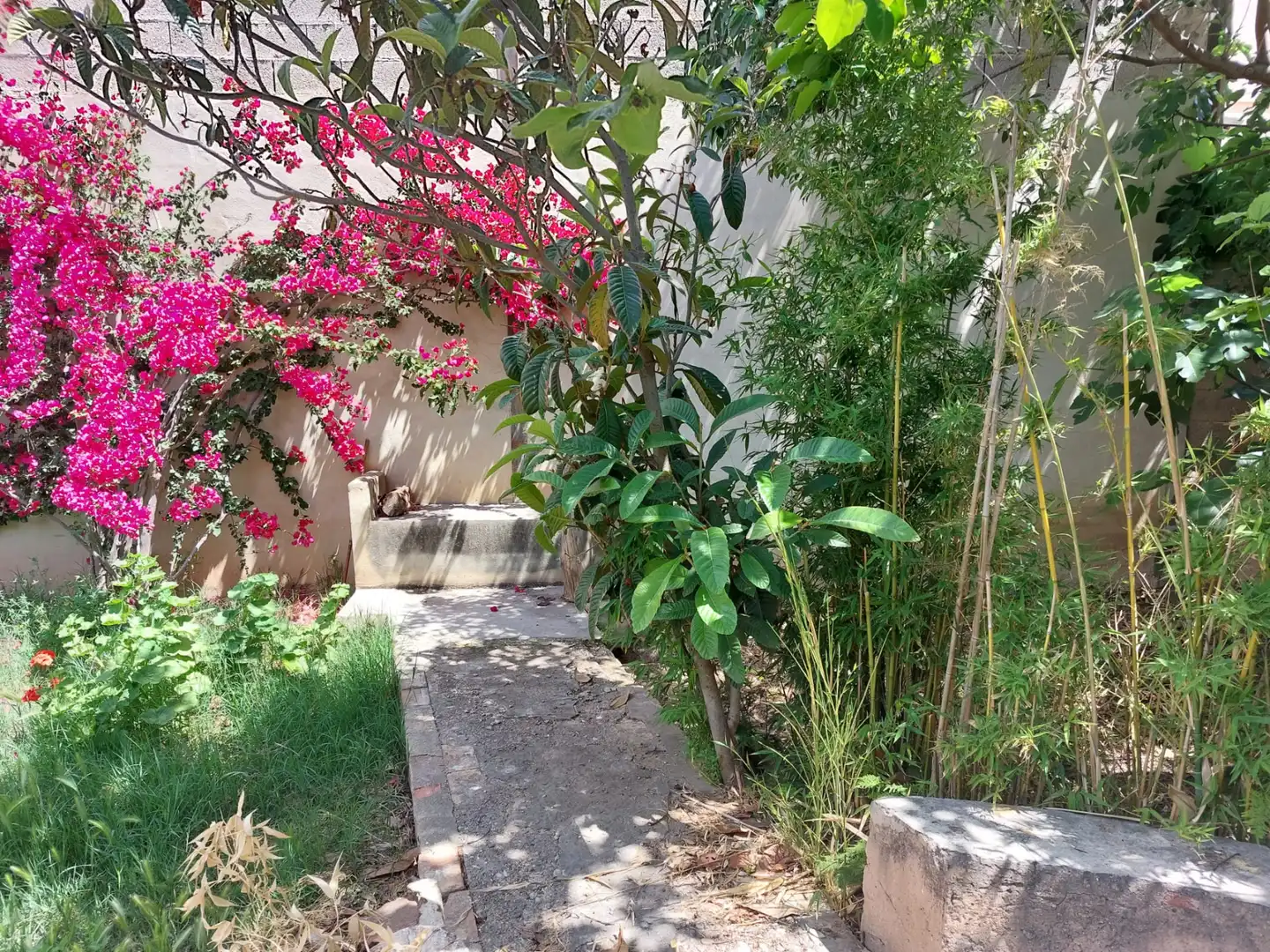 Casa con terraza en venta en Carrer Major, imagen 7