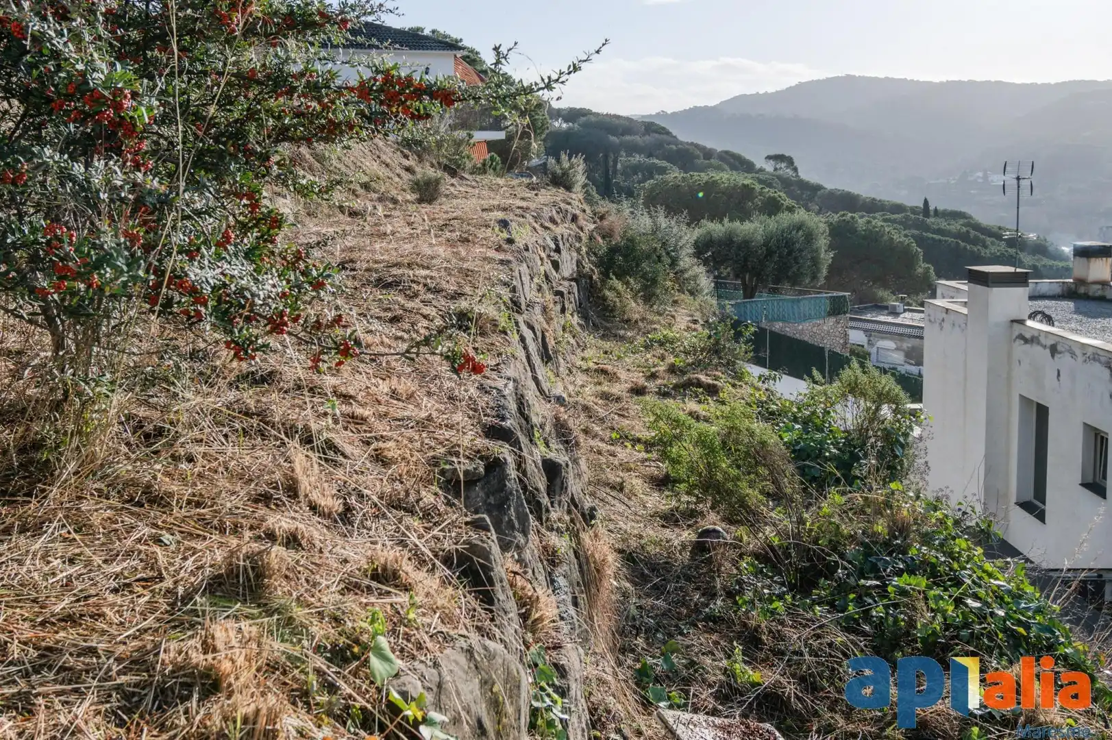 Terreno residenziale in vendita a Dosrius poble, imagen 14