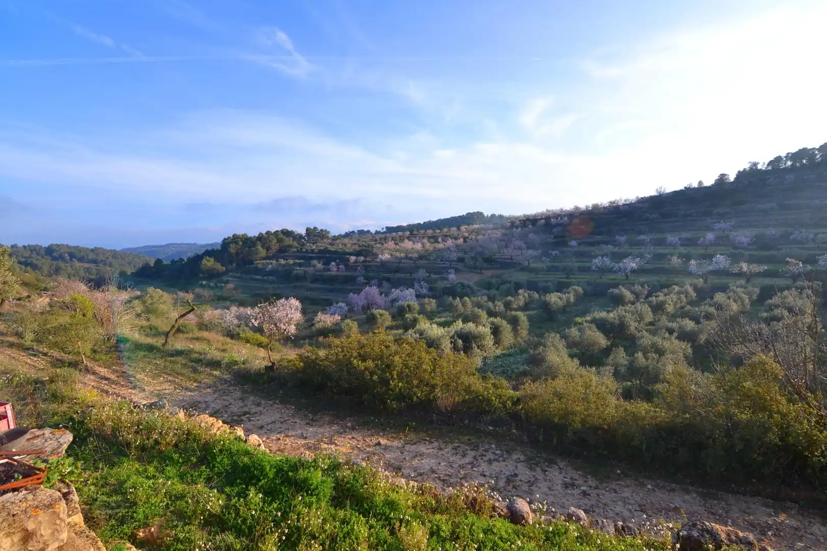 Rural land for sale in Corbera d'Ebre, imagen 53