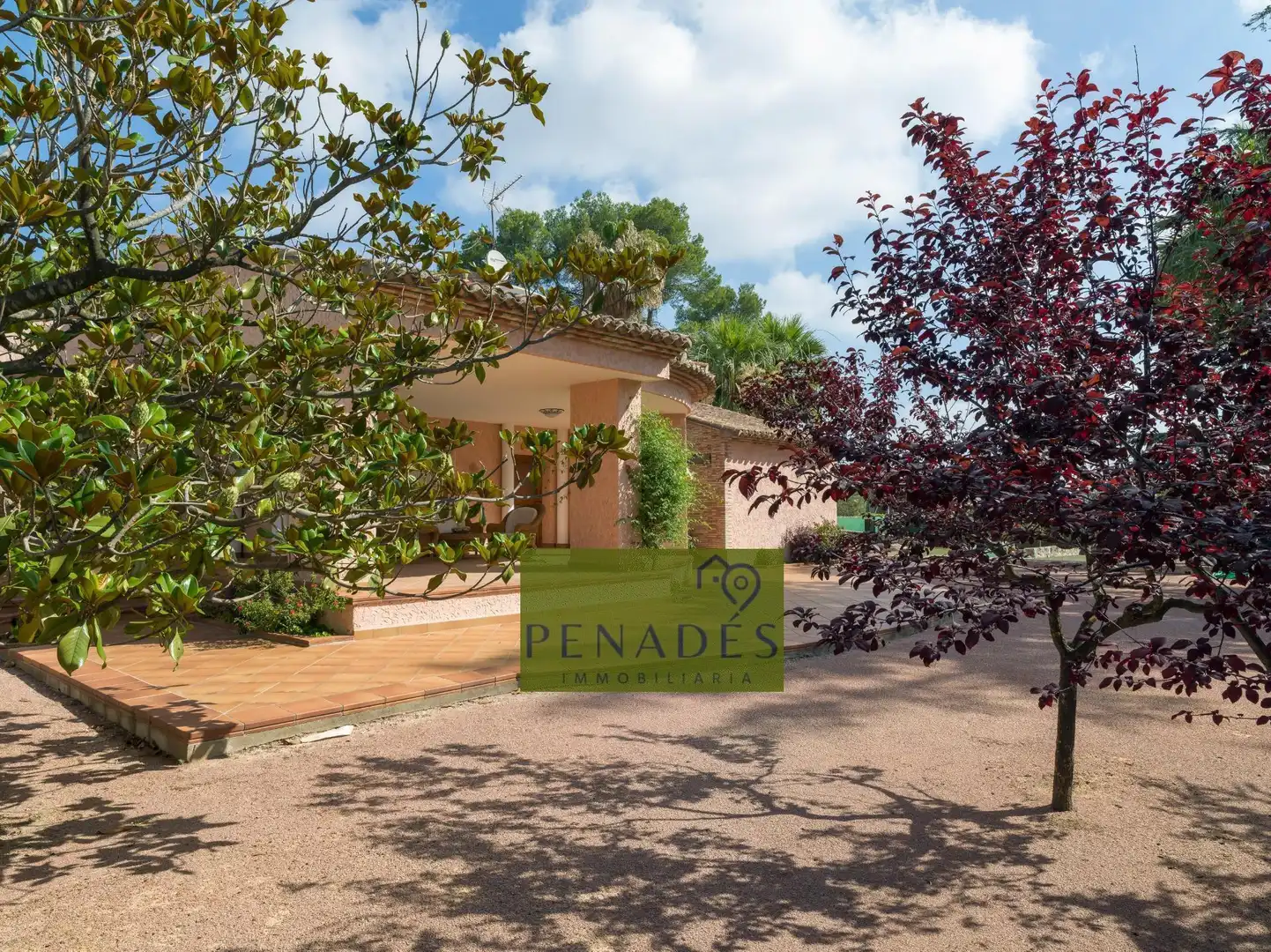 Chalet con piscina en venta en Santa Ana, imagen 42
