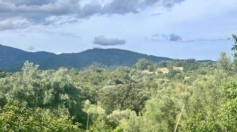 Solares en Campanet, immagine 3