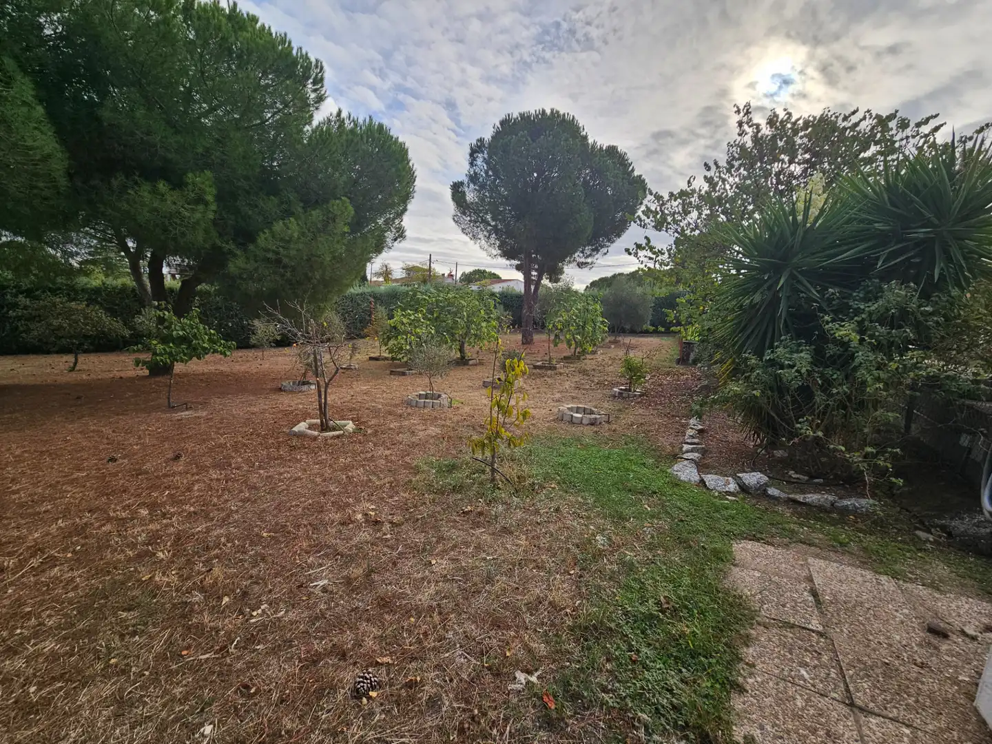 Haus oder Chalet zum Verkauf in Casar de Cáceres mit Möbliert