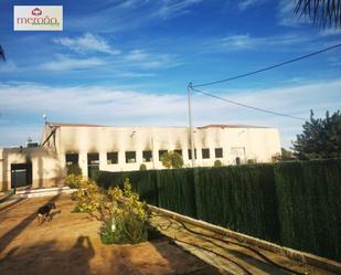 Exterior view of Industrial buildings for sale in Elche / Elx