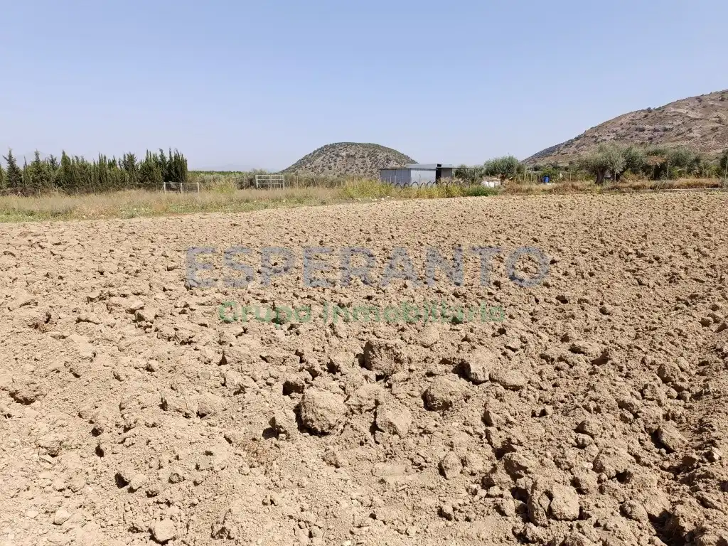 Terreno rustico in vendita a Partida Ballestero, imagen 4
