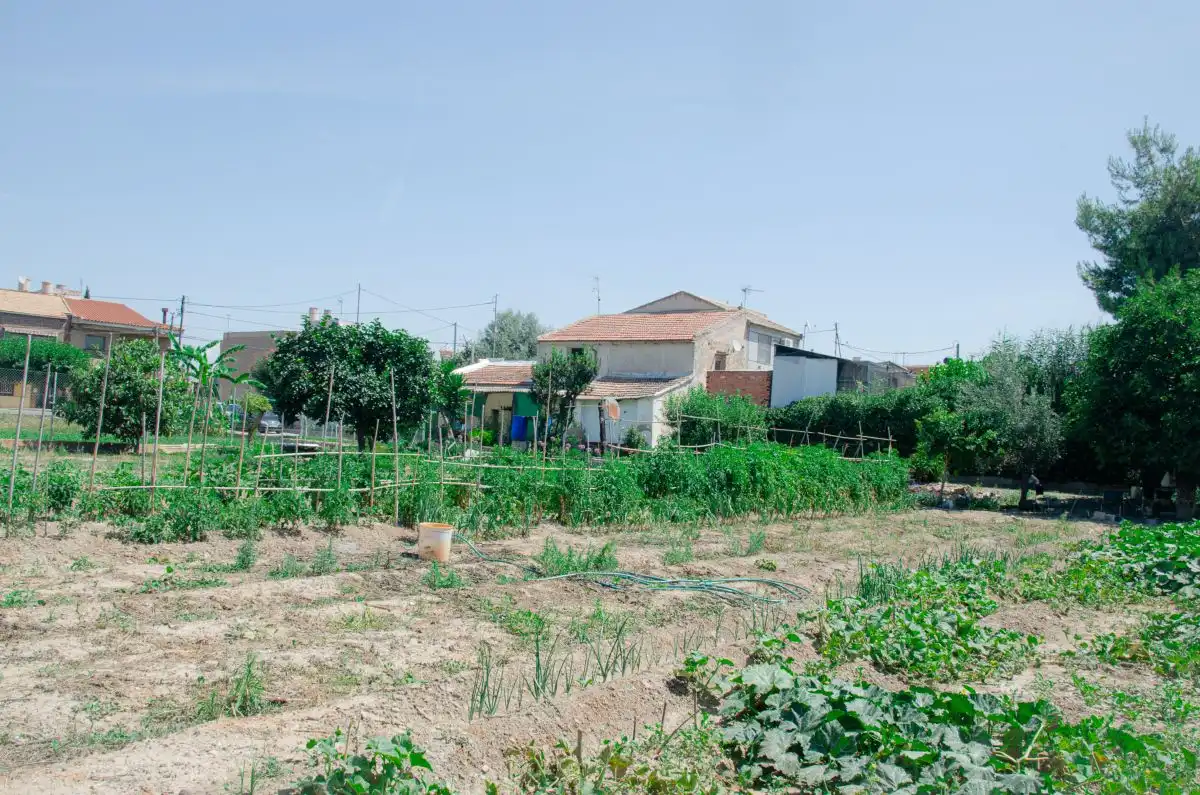 Residencial en venta en  Murcia Capital