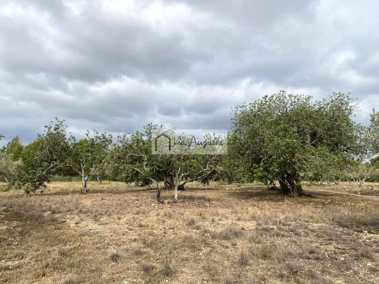 Terreno rustico in vendita a Mas de Baralluga, imagen 3