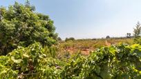 Casa o xalet en venda en Dénia amb Terrassa