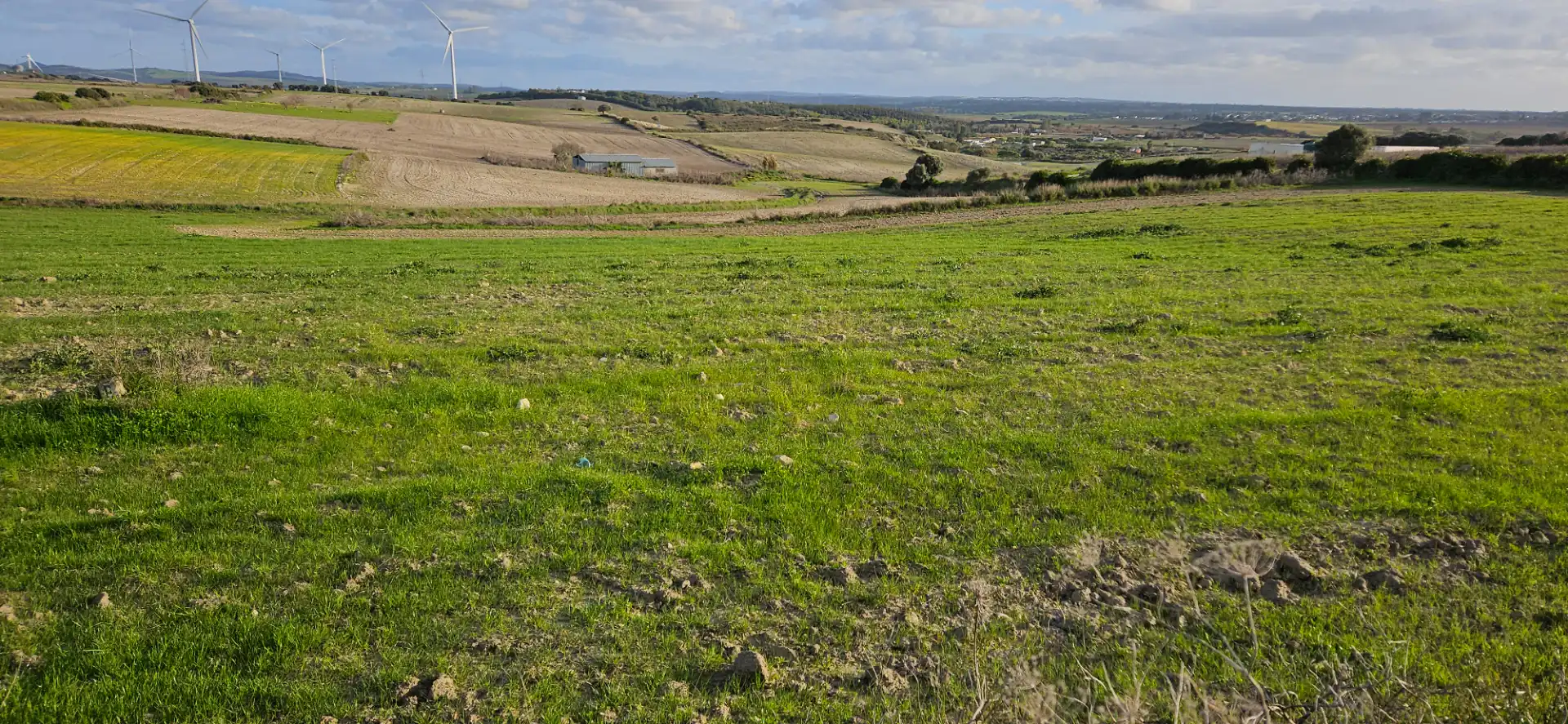 Terreny rústic en venda a Los Franceses – La Vega, imagen 2