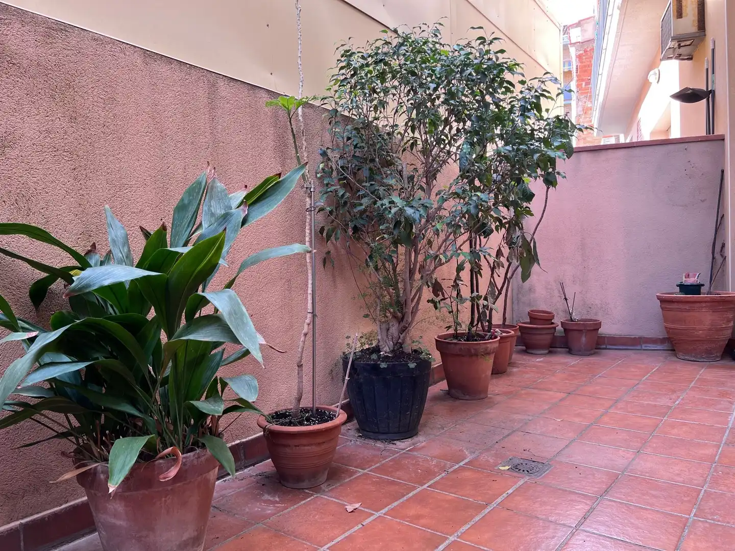 Terrassa de Planta baixa de lloguer en Havana