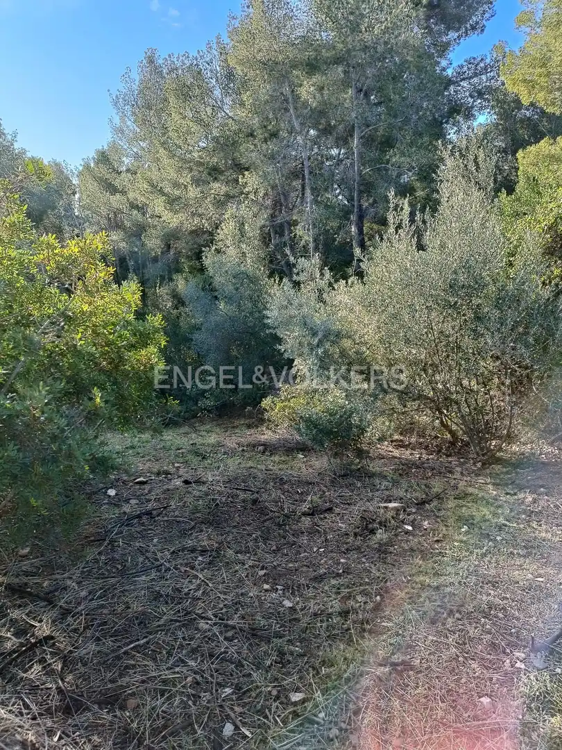 Wohnbaugrundstück zum Verkauf in Cervelló, imagen 13