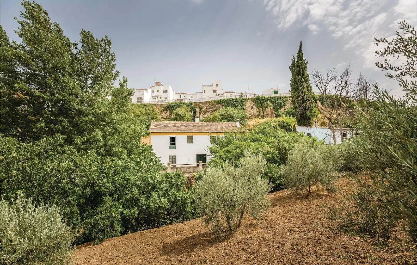 Garden of Houses for sale in Málaga  with Private garden, Swimming Pool and Furnished