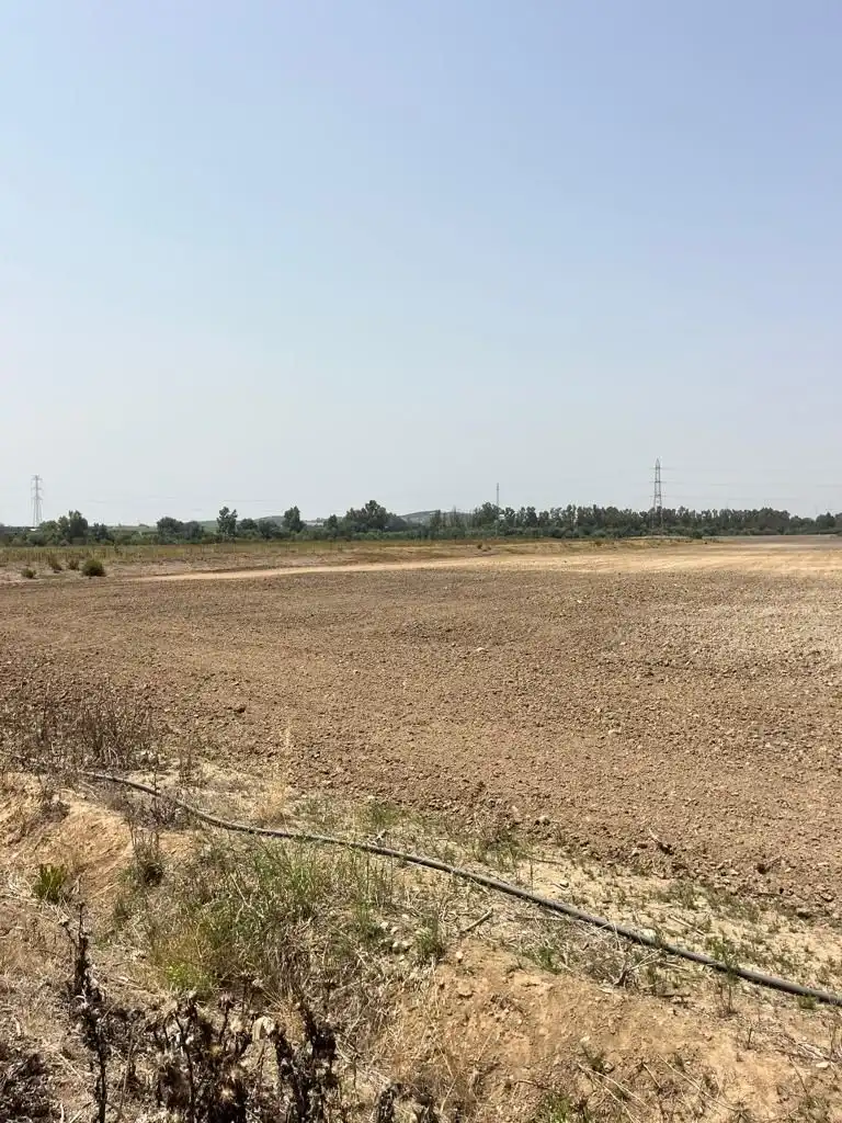 Terrenys i solars en venda a Carretera Cortes 4, imagen 14
