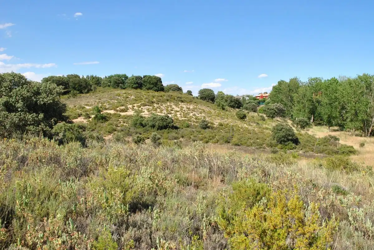 Residencial en venta en Loranca de Tajuña