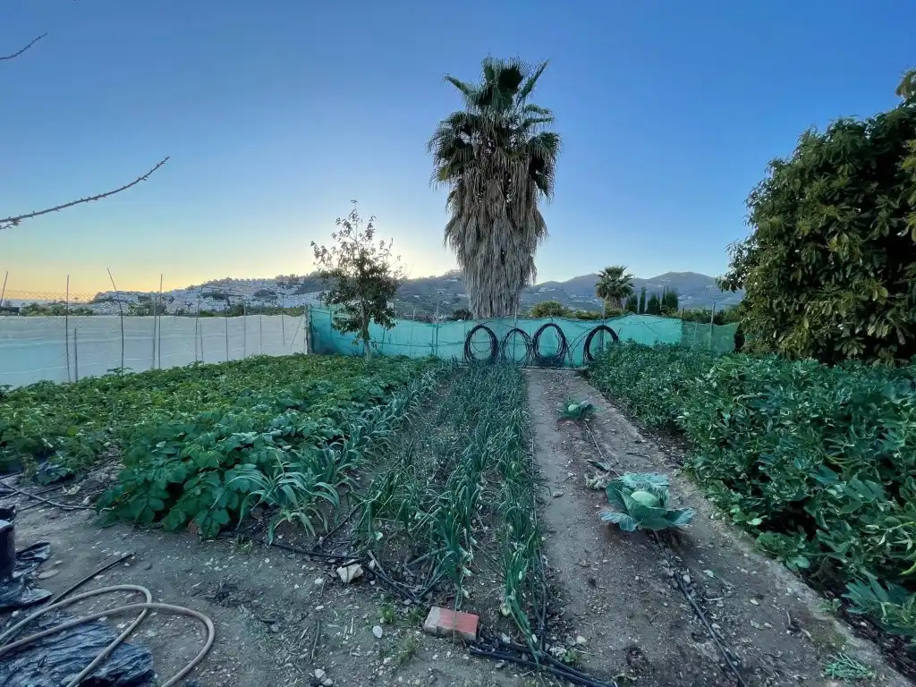 Finca rústica en venta en N/A, Avda Pescia - Ctra de Frigiliana