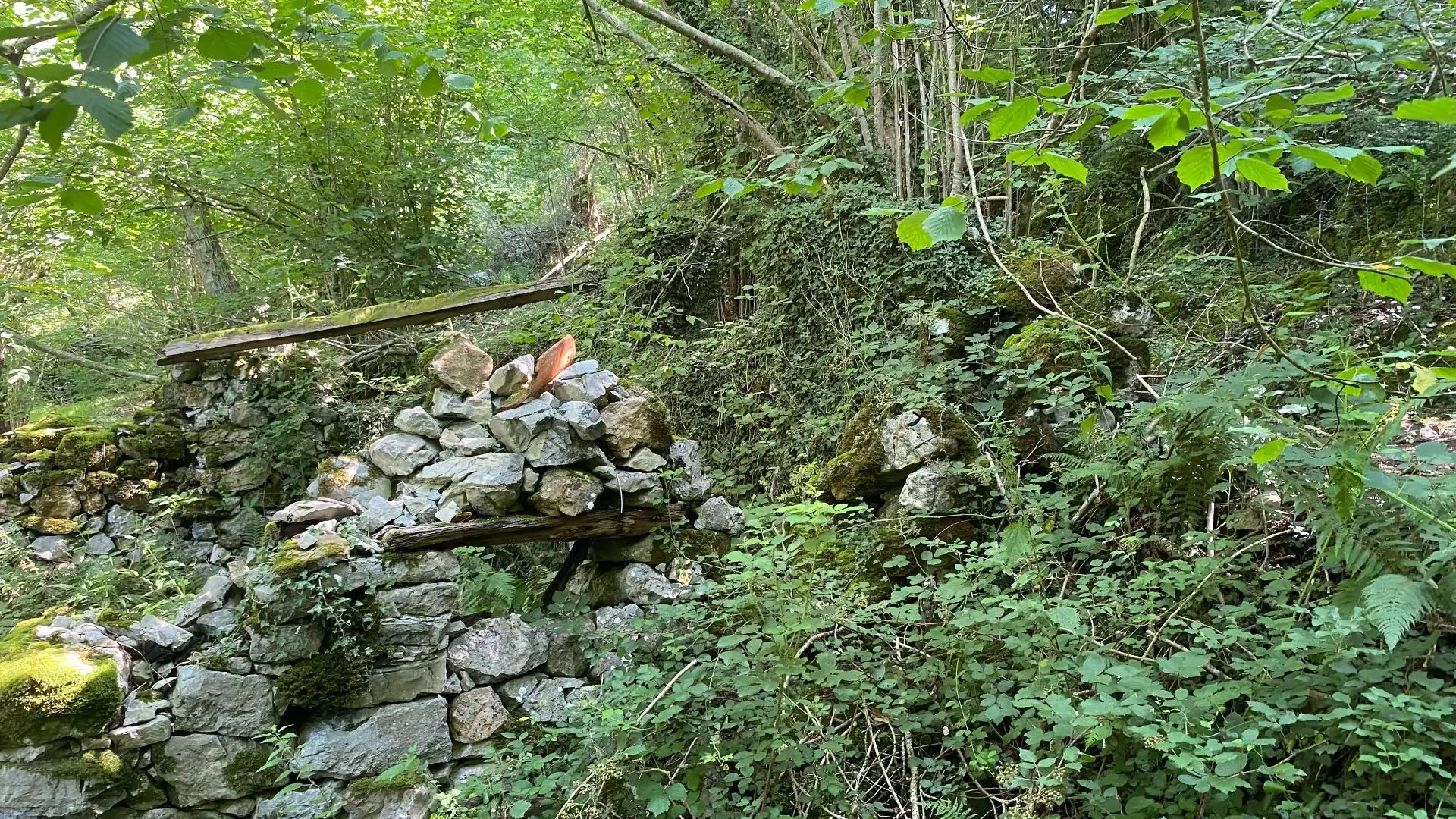 Terreno rustico in vendita a SEGÜENCO, imagen 28