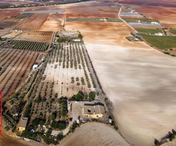 House or chalet for sale in El Cuervo de Sevilla  with Private garden and Storage room