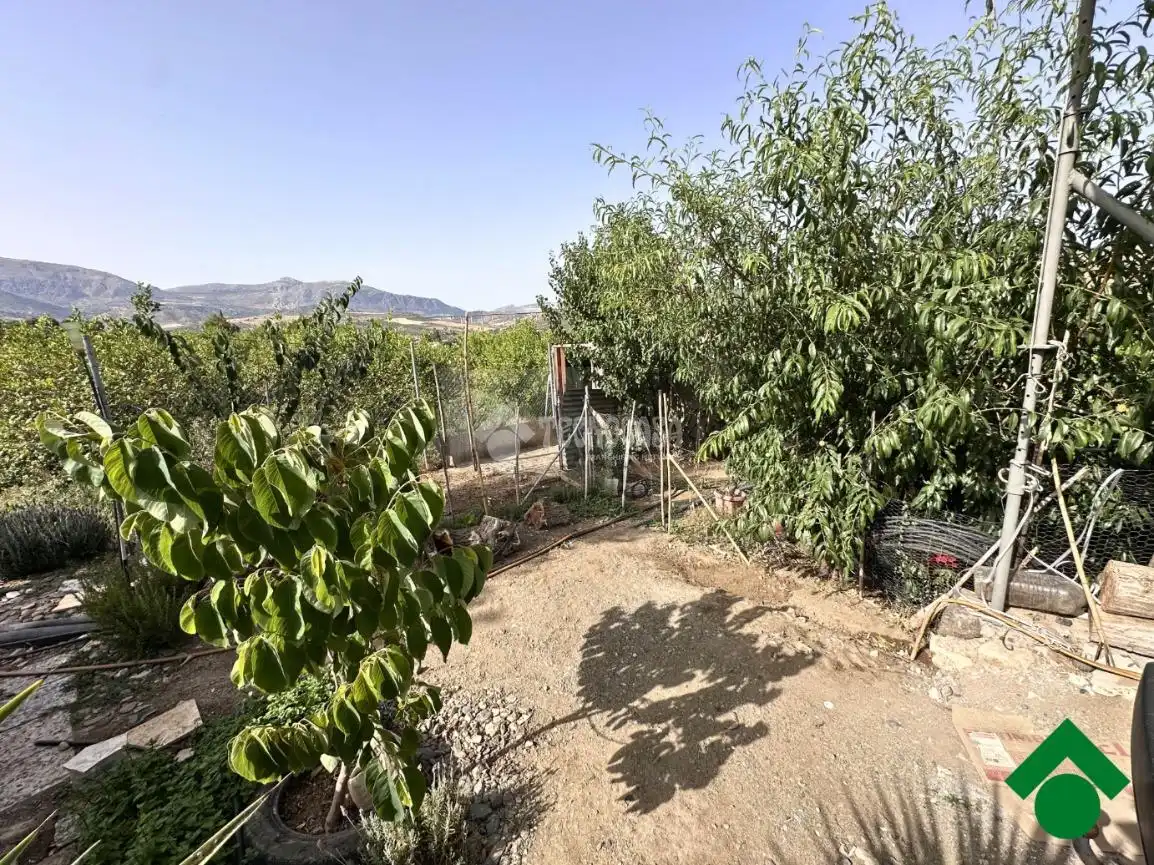 Casa rústica amb piscina en venda a Álora, imagen 31