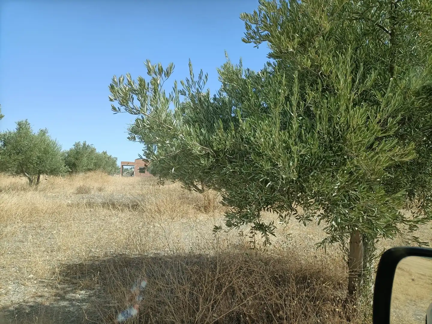 Rural land for sale in Almonacid de Toledo, imagen 4