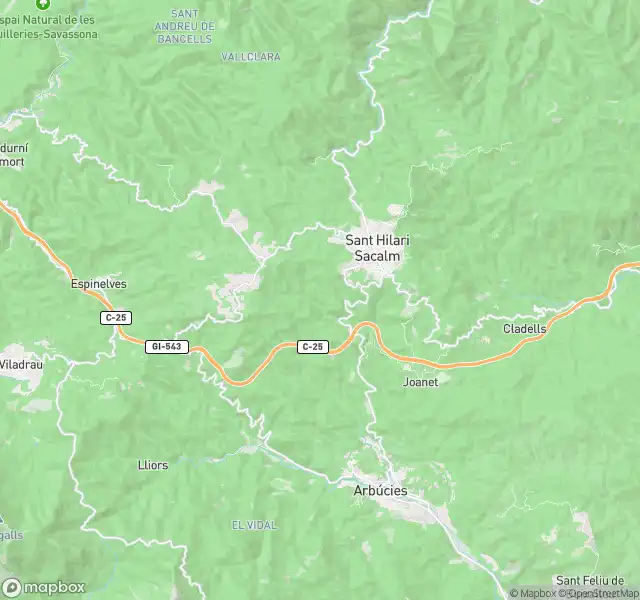 Piso en venta en Sant Hilari Sacalm