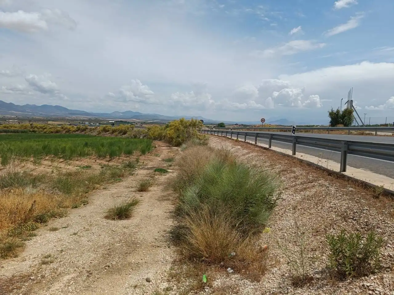 Rural land for sale in Moraleda de Zafayona, imagen 4