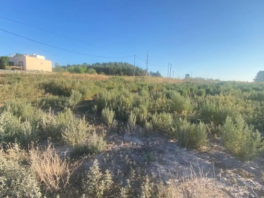 Terreny residencial en venda a Sant Fruitós de Bages, imagen 16