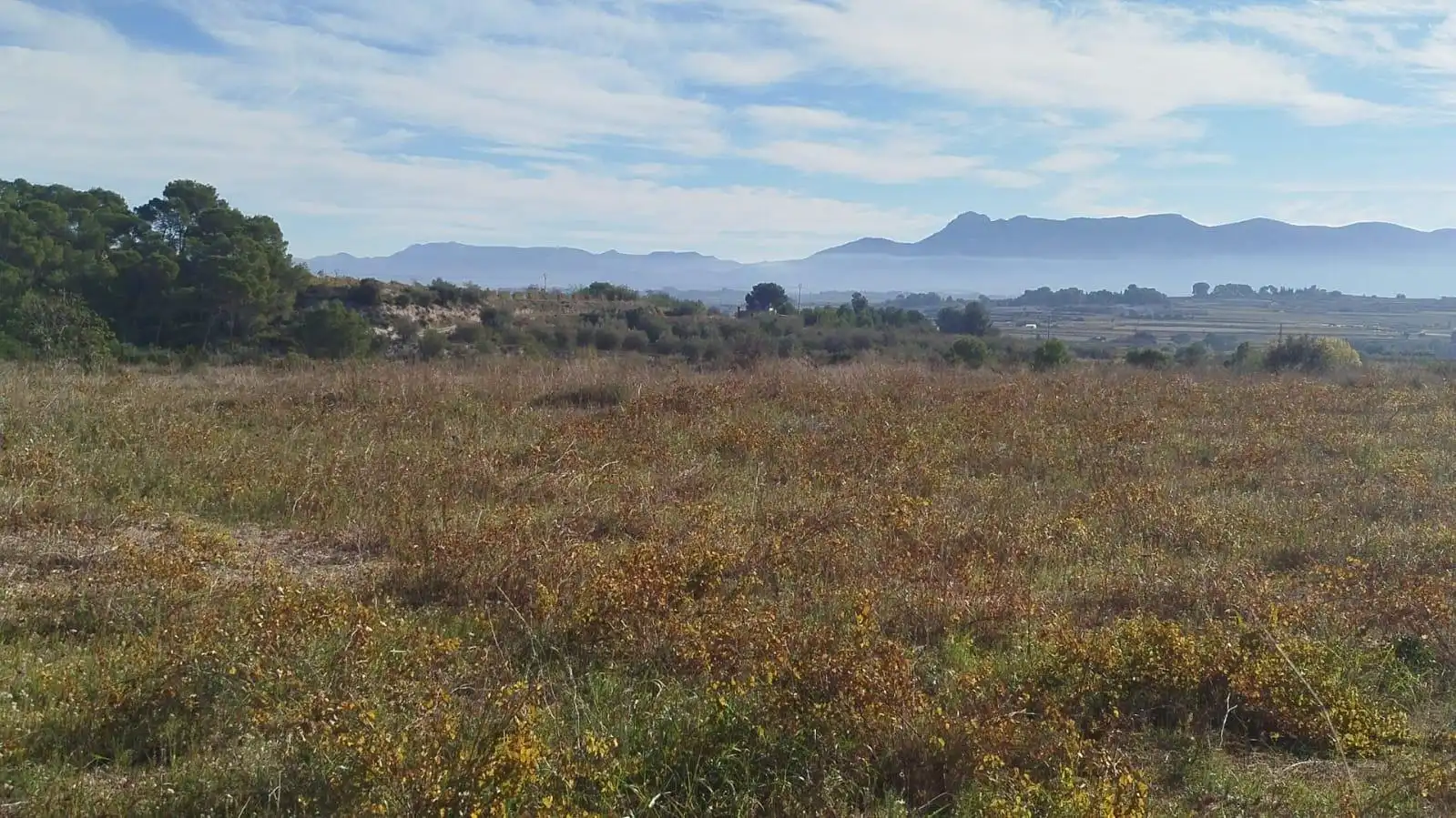 Terreno residencial en venta en L'Olleria, imagen 14