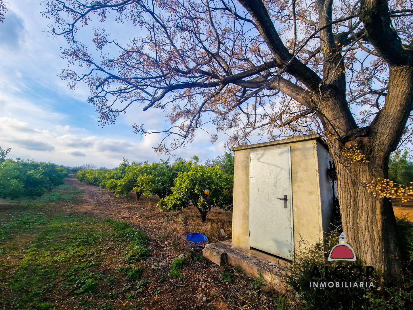 Country homes for sale in Càlig