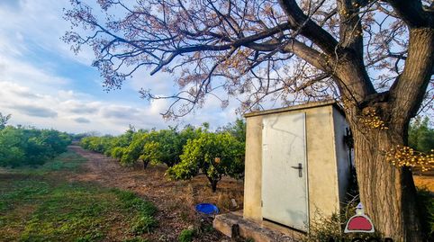 Finca Rúst. en venta en Calig.