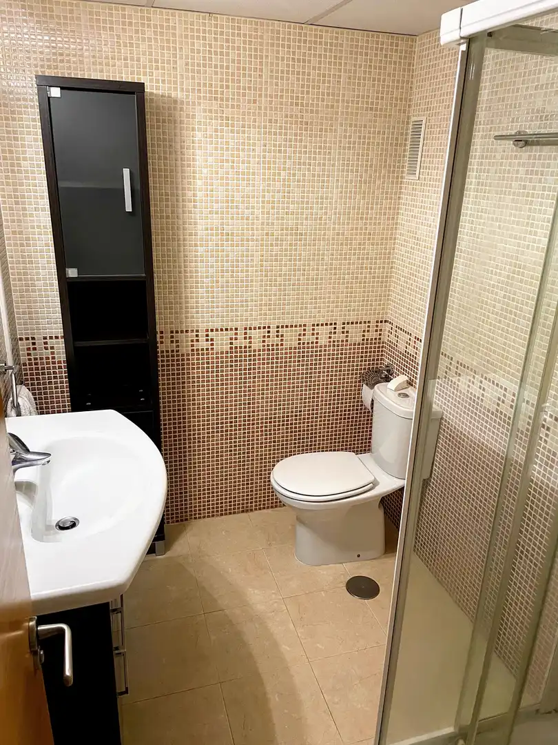 Flat with terrace to rent in Carrer Científico Jaime Santana, imagen 24