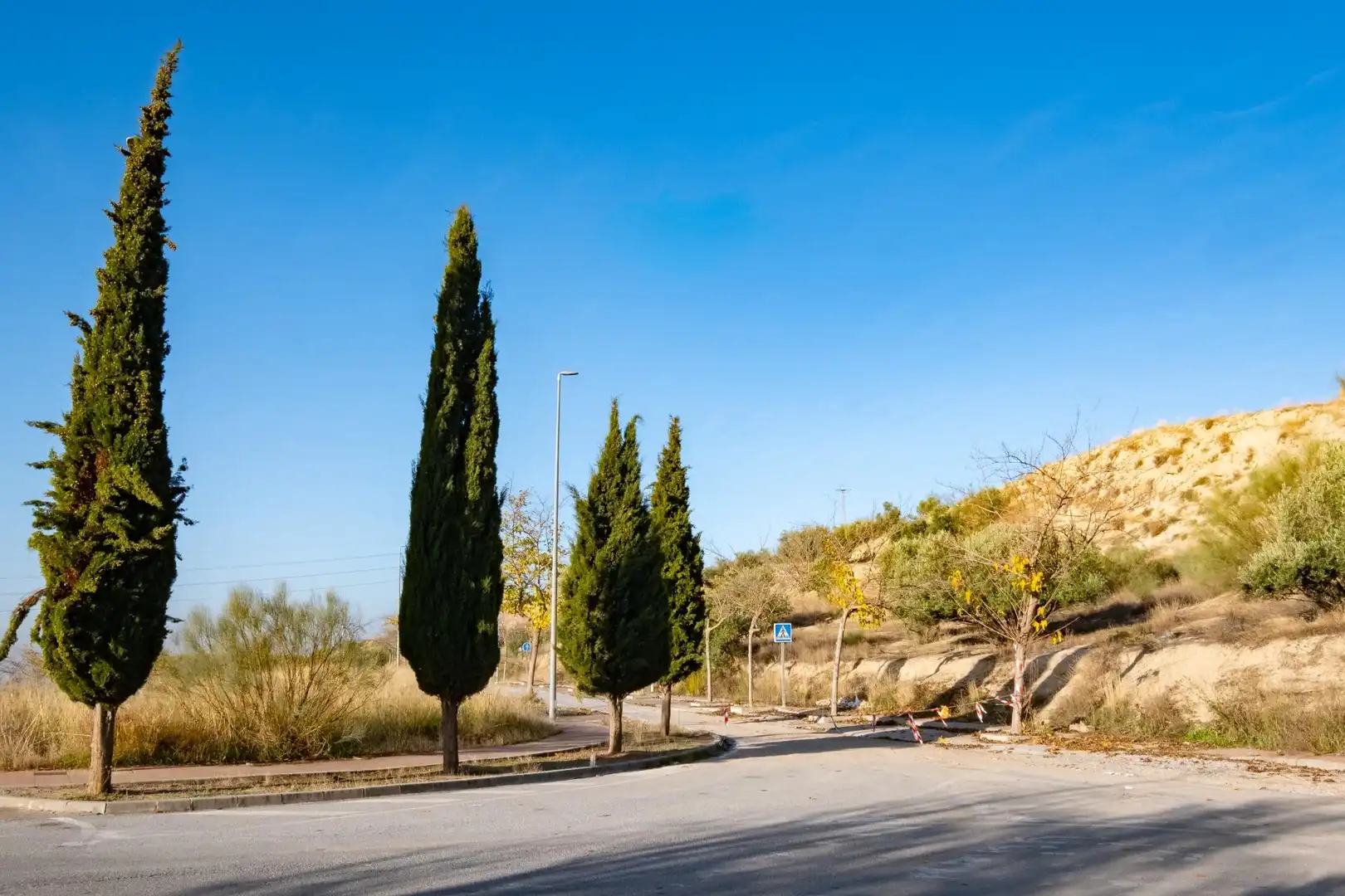 Industrial land for sale in Alfacar, imagen 15