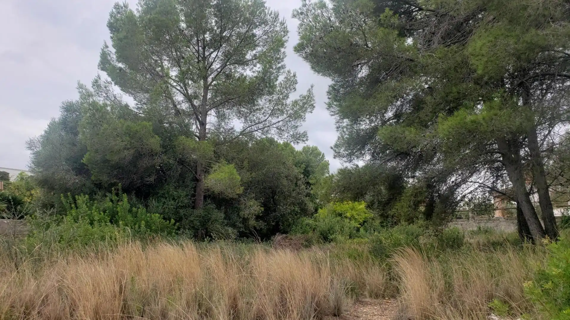 Residential land for sale in Calle dels Almogavers 6, imagen 8