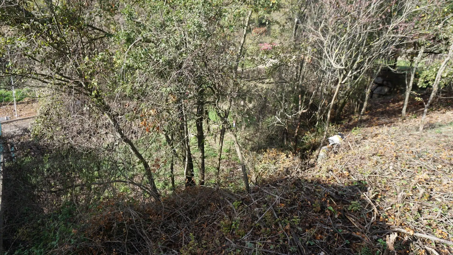 Grundstücke und Bauplätze zum Verkauf in Lluis Companys, imagen 12