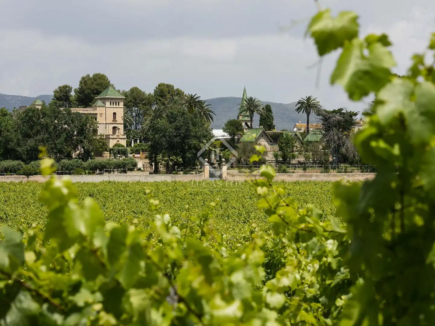Vista exterior de Finca rústica en venta en Banyeres del Penedès con Jardín privado, Terraza y Piscina