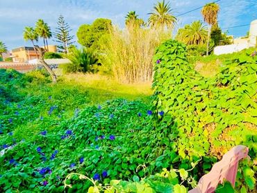 Terreno residenziale in vendita a Sant Jordi de Ses Salines-Sant Francesc