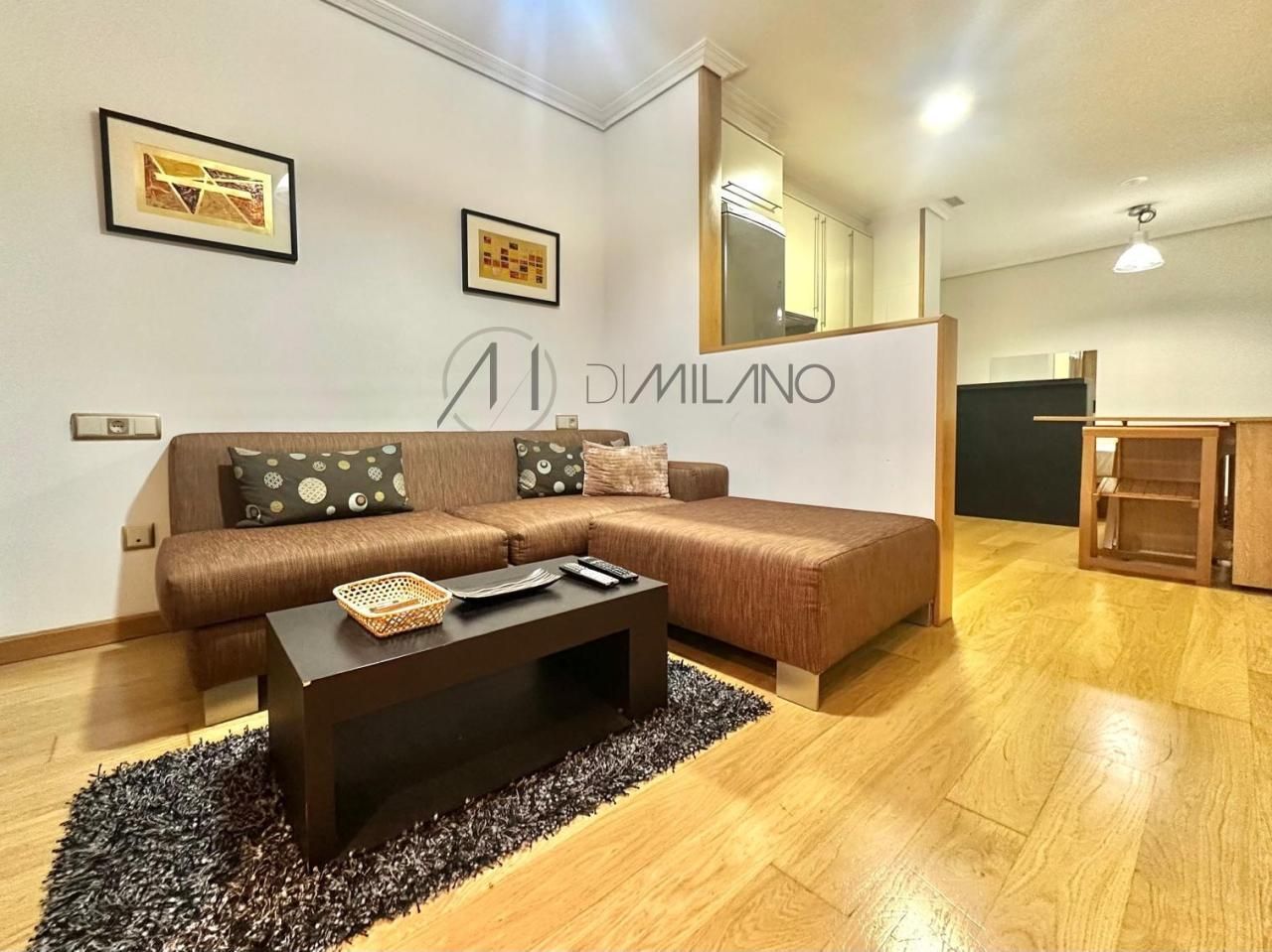 Sala d'estar de Estudi de lloguer en Vigo  amb Calefacció, Parquet i Moblat